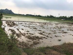 Đất Nền Sổ Đỏ Lĩnh Đông Phạm Thái Kinh Môn, Hơn 100m2 đường ô tô Giá 520tr. Ib em Đại