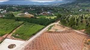 view rừng thông, ngoại ô đà lạt 790 triệu 320m², sẵn sổ riêng săn mây nghỉ dưỡng