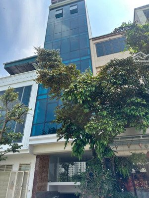bán gấp toà văn phòng 8 tầng thang máy thông sàn kinh doanh mặt tiền 5 mét view công viên giá tốt