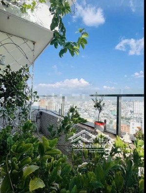 chính chủ bán căn hộ penthouse duplex topaz garden, 188m, 4 phòng ngủ, giá 7,4 tỷ tuấn 