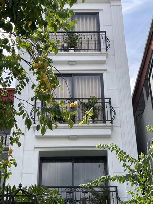 bán nhà riêng tại tây mỗ, nam từ liêm, hà nội, giá ưu đãi 5,9 tỷ, 40m2