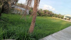 đất phú tự, tp.bến tre, chủ kẹt tiền cần bán gấp, thương lượng được, chỉ 1ty6 cho lô 1216m2 xây nhà