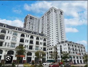 bán căn penhouse đẳng cấp nhất long biên 5pn 382.5m2 view vinhome tại tsg lotus sài đồng giá 26 tỷ