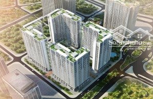 bán shophouse thương mại tòa ecohome 3, bắc từ liêm 126m2 sổ đỏ lâu dài đang có dòng tiền