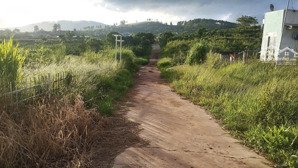 sản phẩm nhỏ xinh giá chỉ 490 triệu tại gia lâm lâm hà