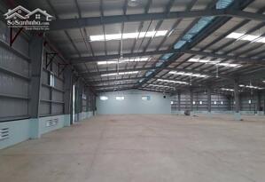 Cho Thuê Kho Xưởng 9800m2 KCN Phú Mỹ 1, Phú Mỹ, BRVT, Kho Xưởng Ngay Cảng Cái Mép Thị Vải