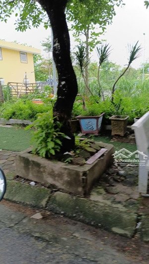 bán đất đấu giá 62.5m2 phú lương, view công viên hướng đông nam chỉ 11 tỷ