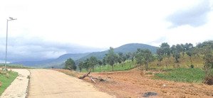 lô góc 2 mặt tiền đường bê tông view đồi thông, view săn mây