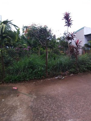 cần bán đất trung tâm liên nghĩa, đức trọng, lâm đồng