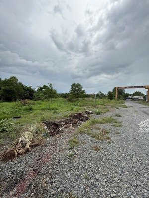 bán đất 10.008m²(82x144m) đại lộ bình dương, hiệp an, thủ dầu một, bình dương, giáp thủ đức, 300 tỷ