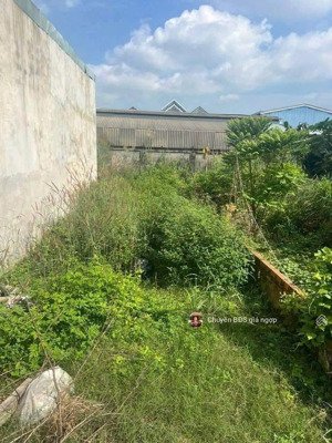 chủ ngợp bán nhanh lô đất 126m2 ở đông hòa dĩ an - gần vòng xoay công viên 2/9. shr giá chi 3.15 tỷ