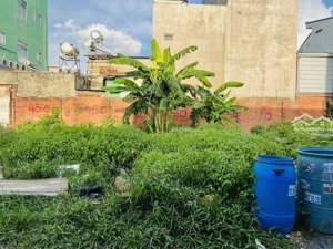 sang gấp lô đất gần ngã tư chiêu liêu đường lê hồng phong dt 66m2 shr, ra mỹ phước tân vạn 200m