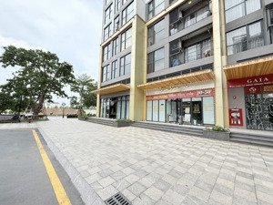 shophouse vinhomes ocean park vị trí cực đỉnh