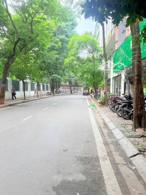 nhà đẹp quận đống đa - khu phân lô phố trần quang diệu - ô tô vào nhà - 7 tầng thang máy - sđcc