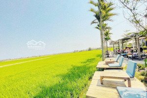 đất đẹp xây nhà vườn mini view cánh đồng hòa tiến, 250m2 có 90m2 đất ở