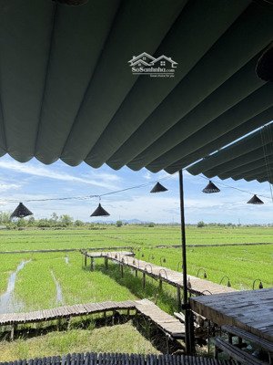 bán đất biệt thự đường phạm đình hổ, đà nẵng