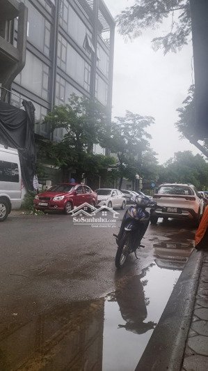 trần thái tông 153m2, 8 tầng, mt 8,5m, vỉa hè, kd tốt. 98 tỷ