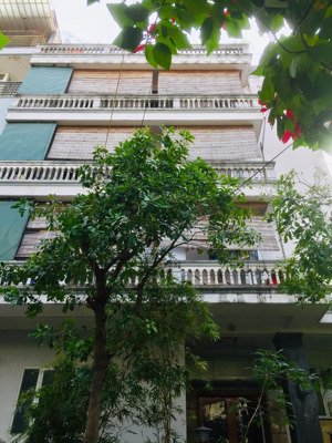 cho thuê cc mini 2pn, 2wc, 35m2, 3,1 triệu tại đông quan, quan hoa, cầu giấy, hà nội