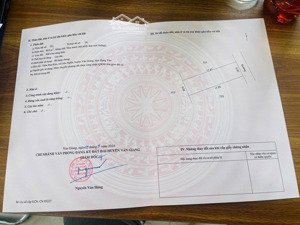 chính chủ gửi bán lô đất trục đường affan tại đan kim, liên nghĩa, văn giang gần dự án aluvia