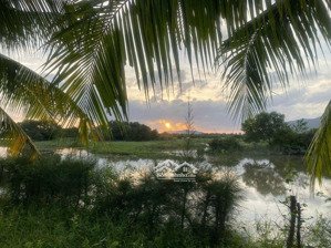 biệt thự view sông tắc đẳng cấp dành cho chủ nhân xứng tầm