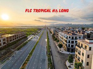 flc tropical căn liền kề oii.1104 giá chỉ 15tr/m2 (đất). full đấy móng và xây 75% 