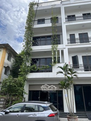 cho thuê nhà nguyên căn phố quán nam