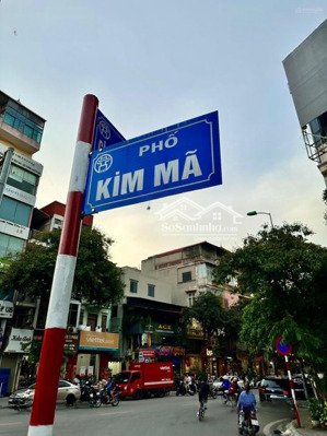 cần bán nhà mặt ngõ 12 đào tấn, dt 80m2 x 5 tầng, mt 5m, giá 31 tỷ. vị trí cực đẹp ngõ 2 ô tô tránh