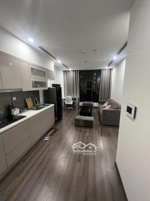 cho thuê căn hộ chung cư vinhome symphony long biên. 40m2 1 ngủ, 11 triệu/th đầy đủ nội thất