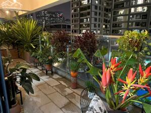 HÀNG CỰC HIẾM! CĂN SÂN VƯỜN tại Imperia Garden, giá 10x(tr/m2)