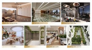 huế heritage sống giữa lòng di sản, căn hộ trung tâm sở hữu lâu dài tại tp huế
