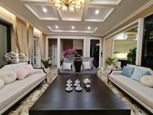 bán 3 lầu biệt thự - sân vườn - mặt tiền đường nhựa - đs.3 bình tân - vay bank 80% - giá 39 tỷ