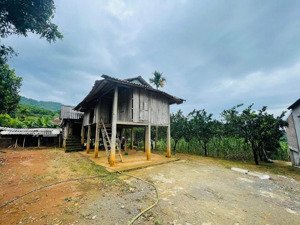 bán đất tại thị trấn cao phong, 1,2 tỷ, 1500m2, hàng hiếm tại hòa bình