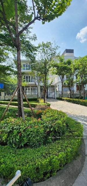 bán biệt thự đẳng cấp 230m giá rẻ khu đt ciputra tây hồ từ liêm