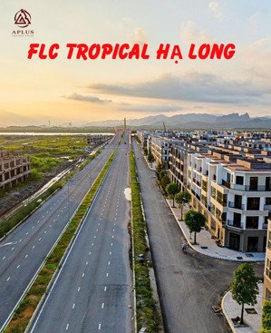 quỹ hàng vị trí đẹp giá siêu tốt. flc tropical ha long. trục 31m giá tốt nhất thị trường