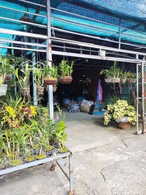 chủ gửi bán mặt tiền kinh doanh quốc lộ 91, bình đức, long xuyên, an giang giá 8.5 tỷ đồng