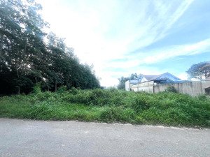 cần bán đất trồng cây lâu năm diện tích 774,3 m² cách mptv 70m - lh: chính chủ