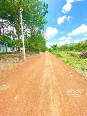 chuyên đất sào, thổ cư, đất hét, bình phước bình dương