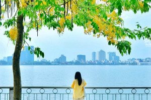 nhà mặt hồ - hồ tây : 50m2 5 tầng - mặt tiền 4.6m - 2 view hồ - lô góc