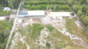 cần tiền xoay sở bán mảnh đất 1200m2 cách biển bãi thơm, đặc khu phú quốc 150m giá chỉ 2tỷ