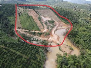 chính chủ bán gấp 2.5ha đất rẫy có nhà view đẹp tp. gia nghĩa, đắk nông giá chỉ 5tỷ (tl)