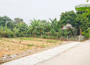 bán gấp lô đất tâm huyết thuộc phường hoà xuân, đà nẵng - giá chỉ 1.3 tỷ
