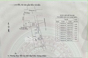 lô mặt tiền đường nhựa - dt 300m2 - giá chỉ 1,85 tỷ