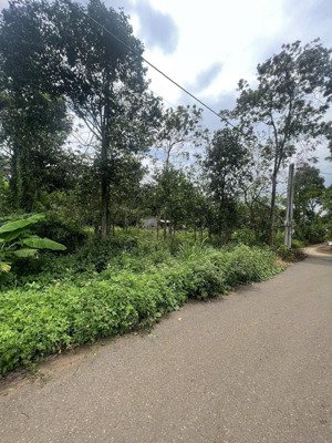 bán đất góc 2 mặt tiền xã kim long, tp hcm (bàu chinh cũ) diện tích khủng 3.282m²