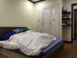  cần cho thuê căn giai việt