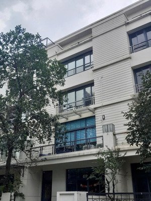 cho thuê nhà liền kề pandora triều khúc, thanh xuân- vị trí đắc địa, dt 160m x 5 tầng. giá 55 tr
