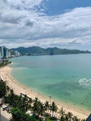 cần bán shophouse mường thanh viễn triều cách biển 100m, đang cho thuê 35tr/tháng, giá 9.5 tỷ