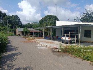 thanh lý lô đất ngay khu dân cư 200m2 sẵn 100 thổ cư shr giá 680tr mặt tiền đường nhựa 8m thông