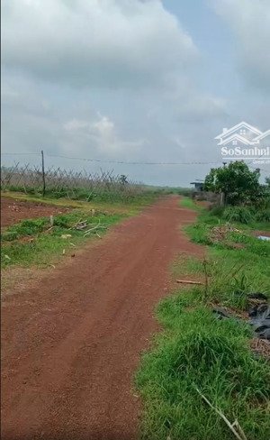 bán đất tại lộc thành, lộc ninh, bình phước, giá 468 triệu, 1000.1 m2