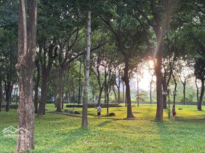 căn 3 phòng ngủ 120m2 thanh toán chỉ từ 2.3 tỷ nhận nhà ở ngay