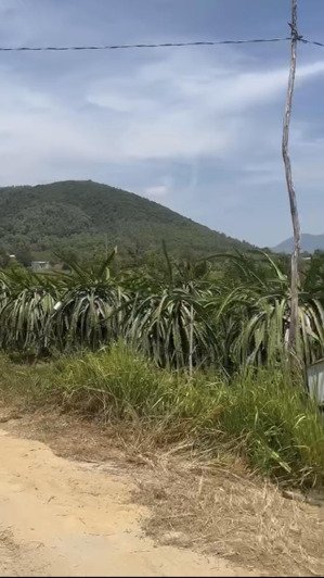 bán lô 1000m2 tân tiến, lagi đường xe ô tô view núi đất, lô đẹp giá 550 triệu
